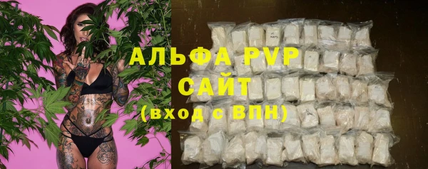 гашик Переславль-Залесский
