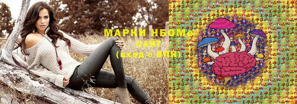 гашик Переславль-Залесский