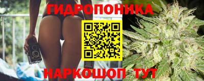 спайс Бийск