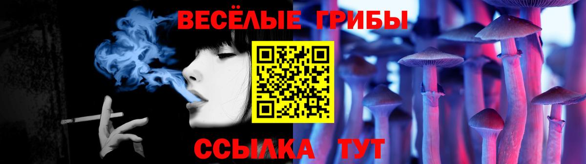 Псилоцибиновые грибы Psilocybine cubensis  Вход с VPN  Гурьевск 