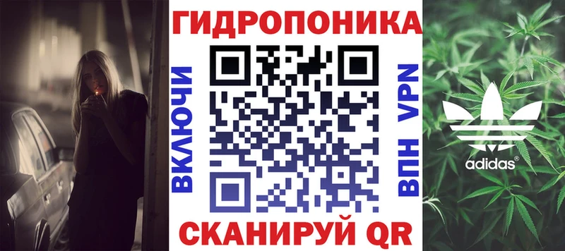 Канабис OG Kush  Гурьевск 