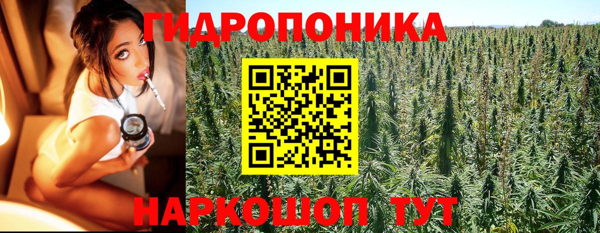 ГАШИШ Гурьевск